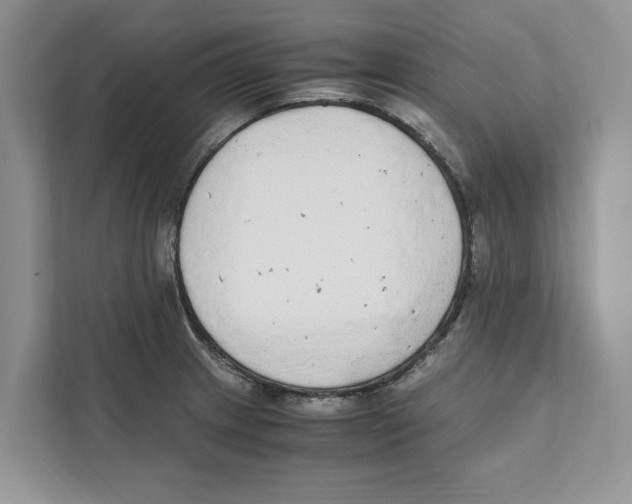 X0000110911233200907161452