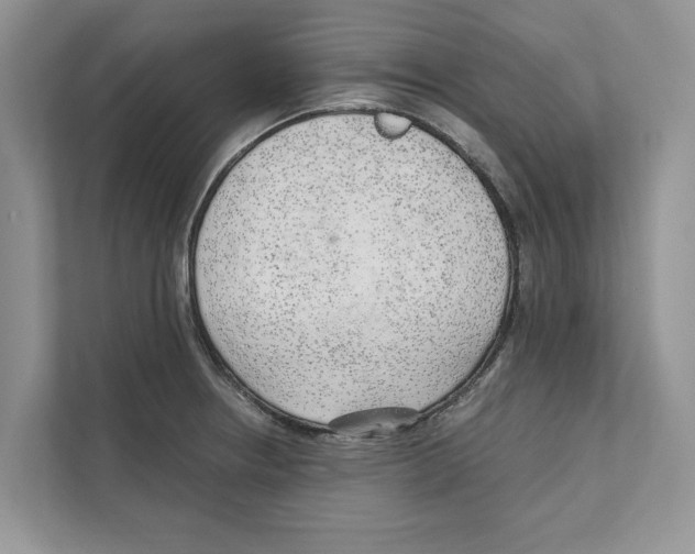 X0000110911234200907161452