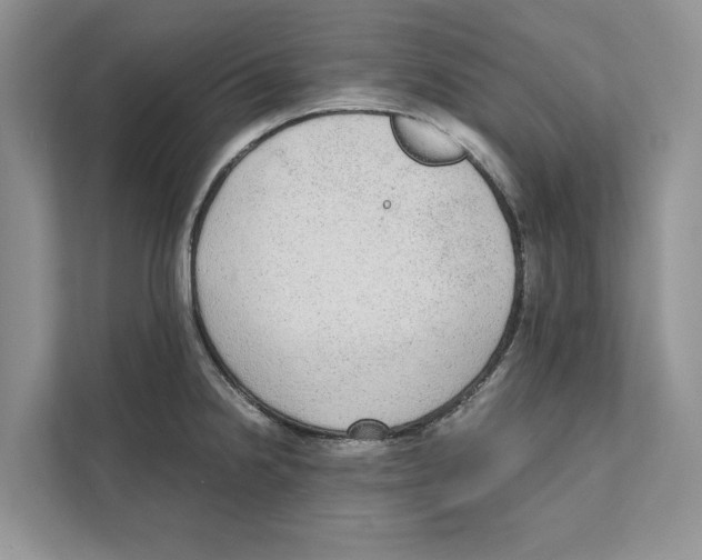 X0000110911238200907161452