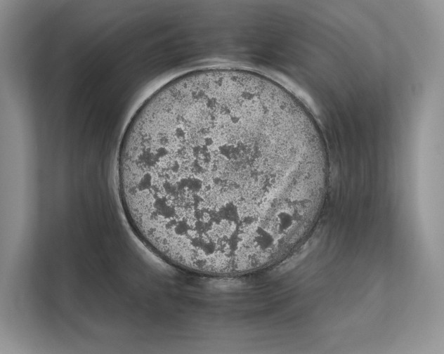 X0000110911239200907161452