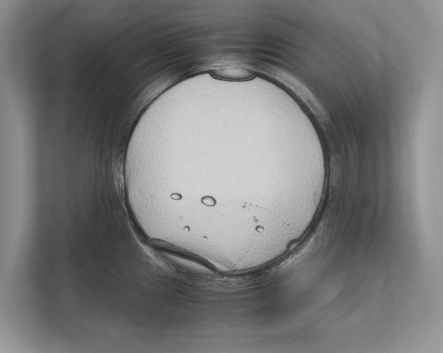 X0000110911241200907161452