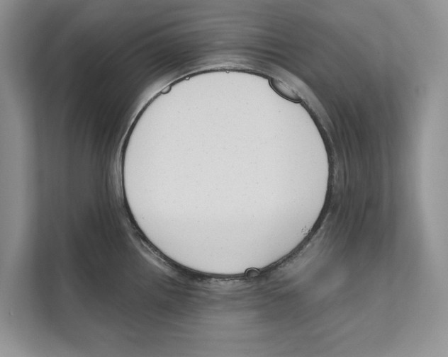 X0000110911242200907161452