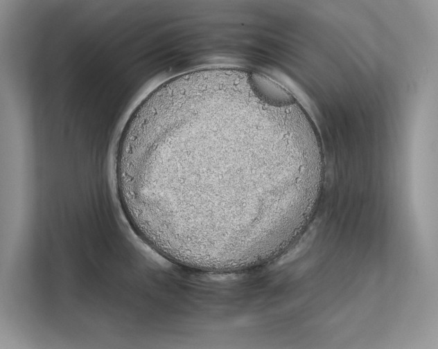 X0000110911243200907161452