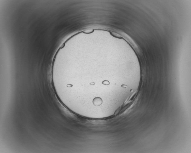 X0000110911244200907161452