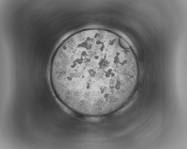 X0000110911245200907161452