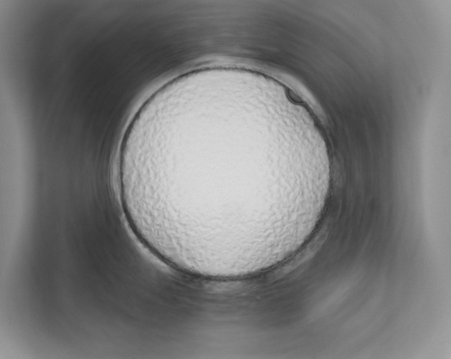 X0000110911247200907161452