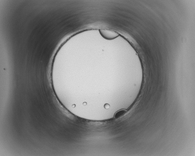 X0000110911248200907161452