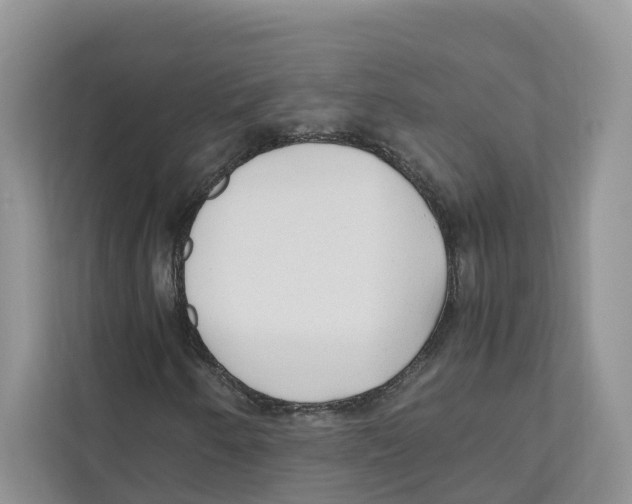 X0000110911250200907161452