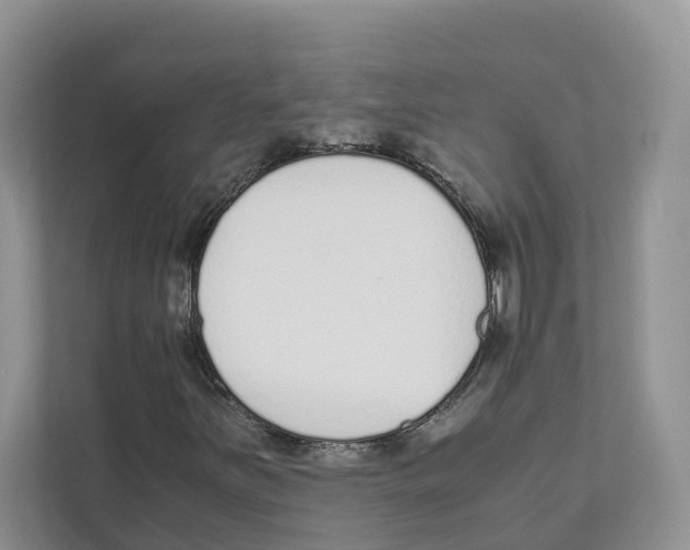 X0000110911251200907161452