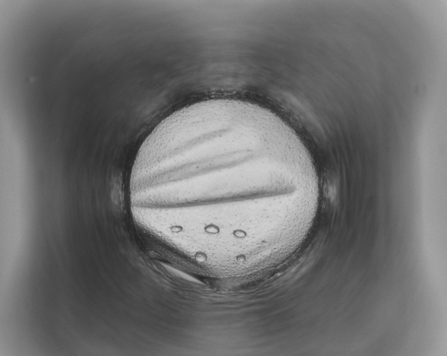 X0000110911252200907161452