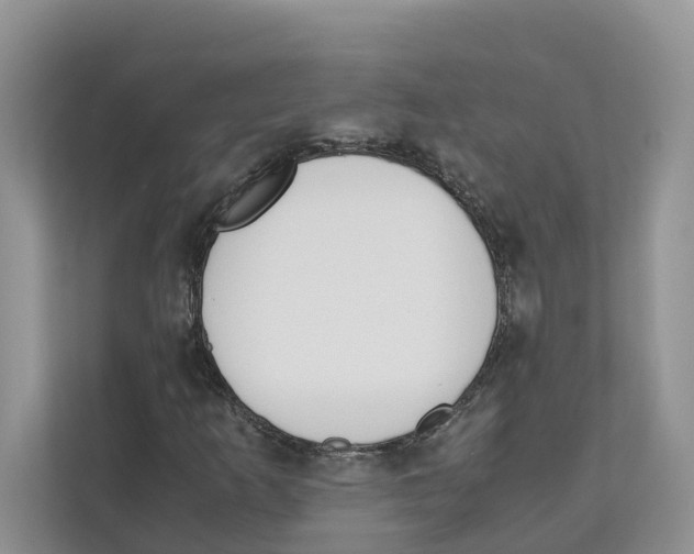 X0000110911253200907161452