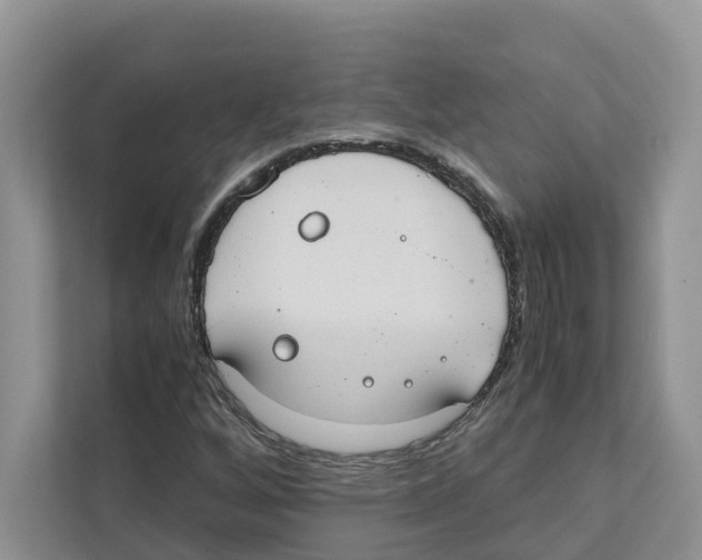 X0000110911256200907161451