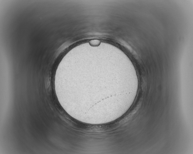 X0000110911259200907161451