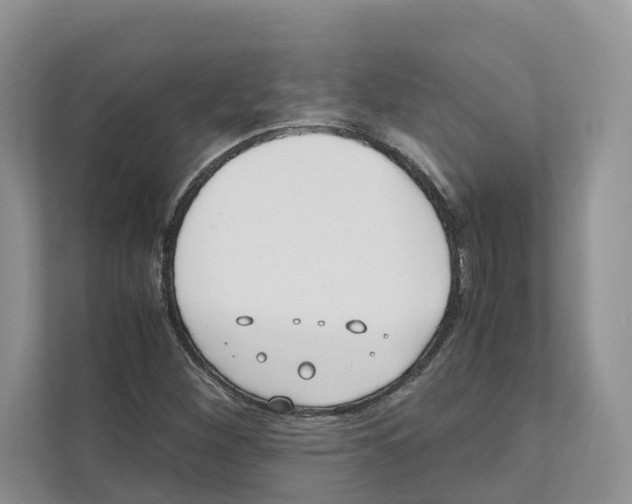 X0000110911260200907161451