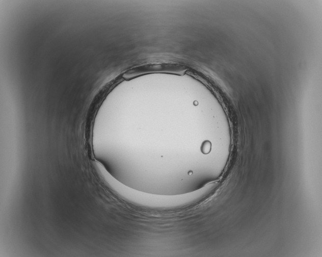 X0000110911261200907161451