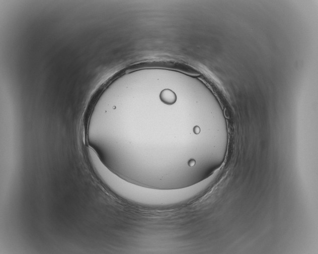 X0000110911269200907161451