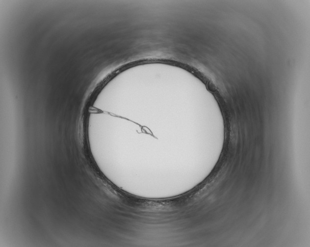 X0000110911270200907161451