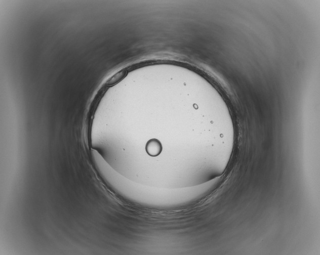 X0000110911272200907161451