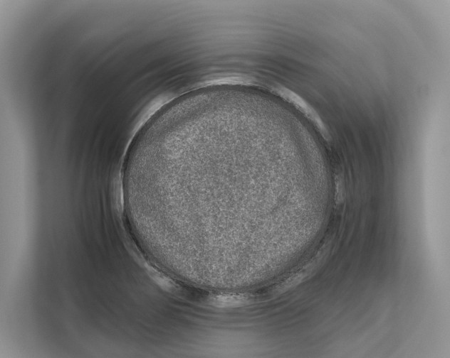 X0000110911274200907161451