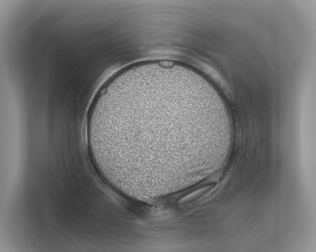 X0000110911275200907161451