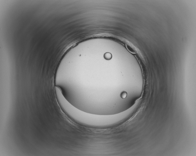 X0000110911281200907161451