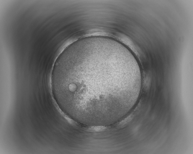 X0000110911282200907161451