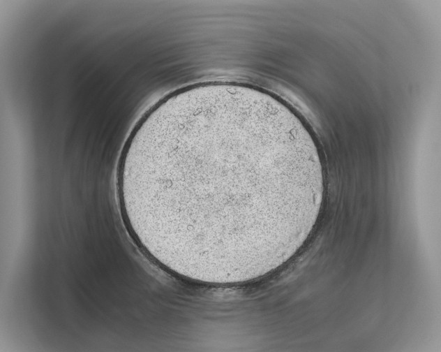 X0000110911283200907161451