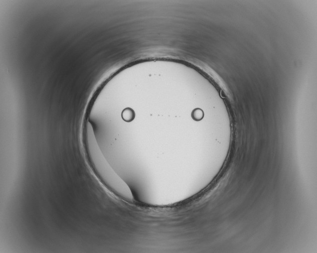 X0000110911285200907161451