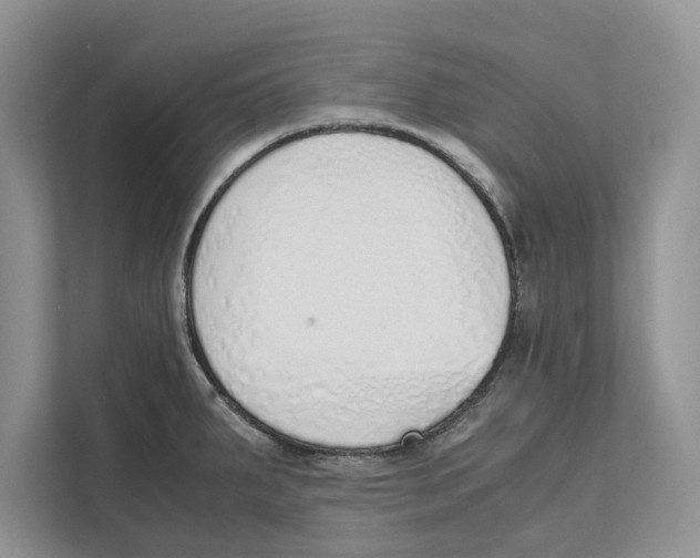 X0000110911287200907161451