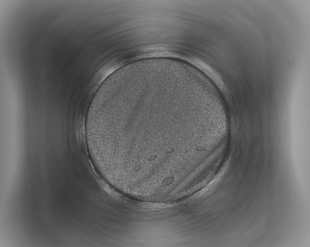 X0000110911289200907161451