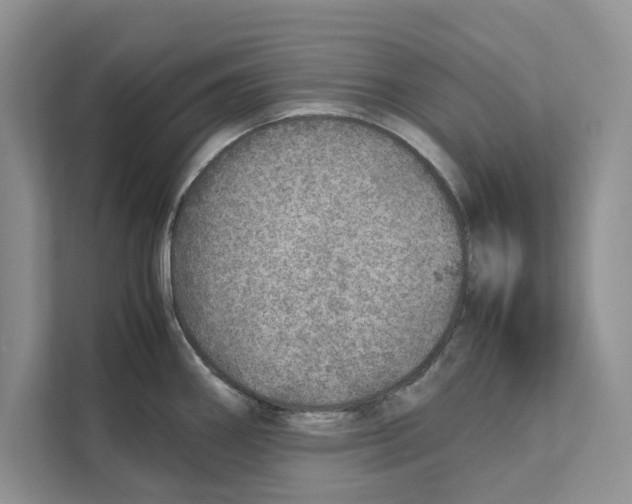 X0000110911290200907161451