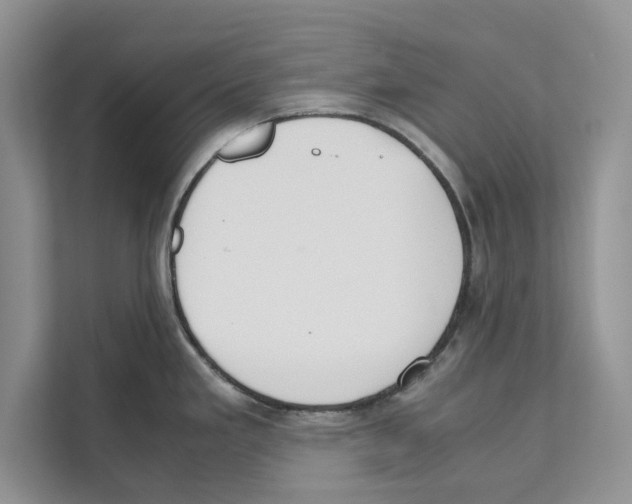 X0000110911293200907161451