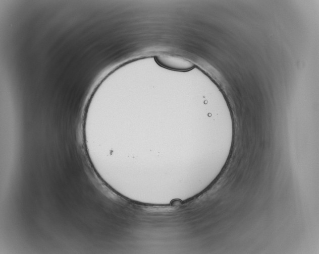 X0000110911296200907161451