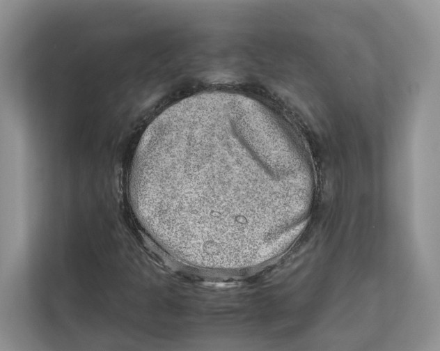 X0000110911301200907161450