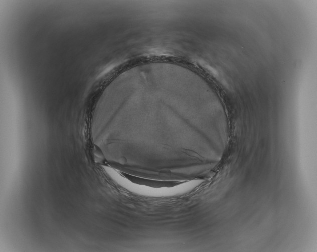 X0000110911303200907161450