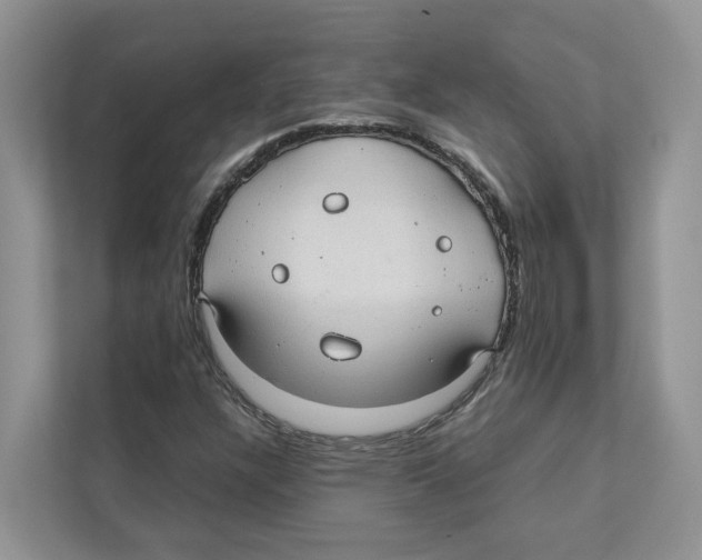 X0000110911304200907161450