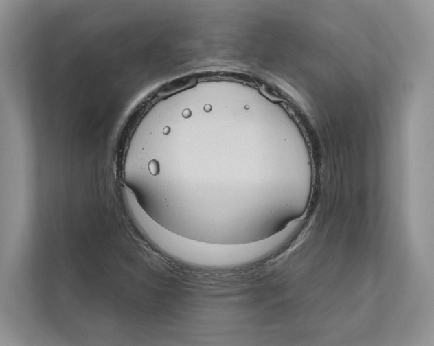 X0000110911310200907161451