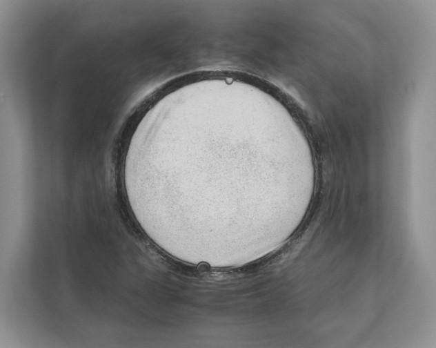 X0000110911311200907161451