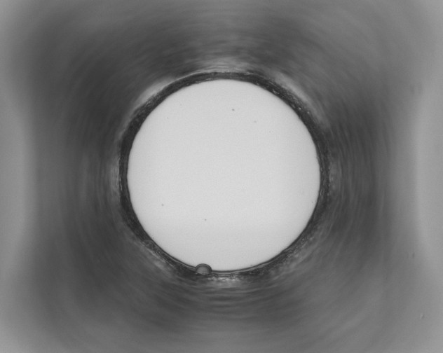 X0000110911315200907161451