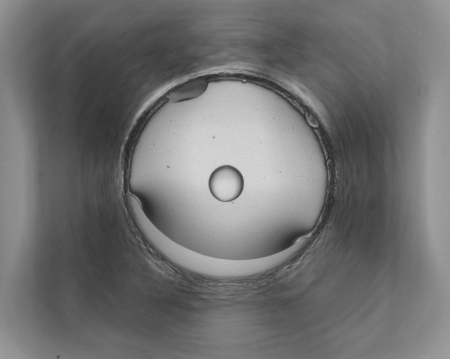 X0000110911316200907161451