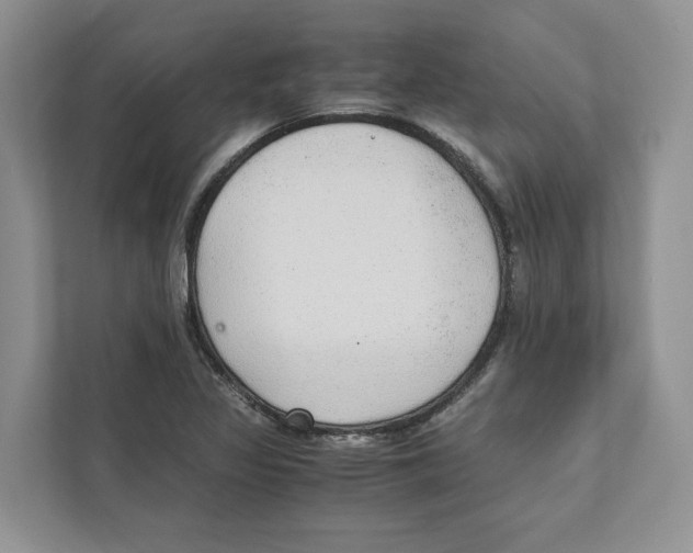 X0000110911317200907161451