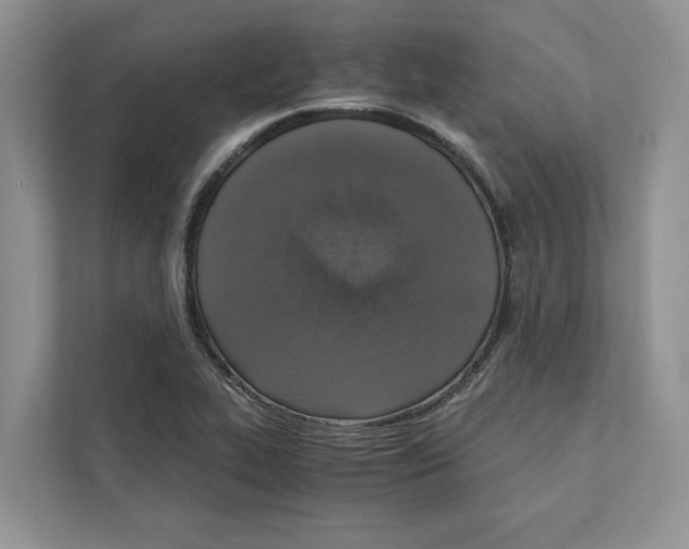 X0000110911319200907161451