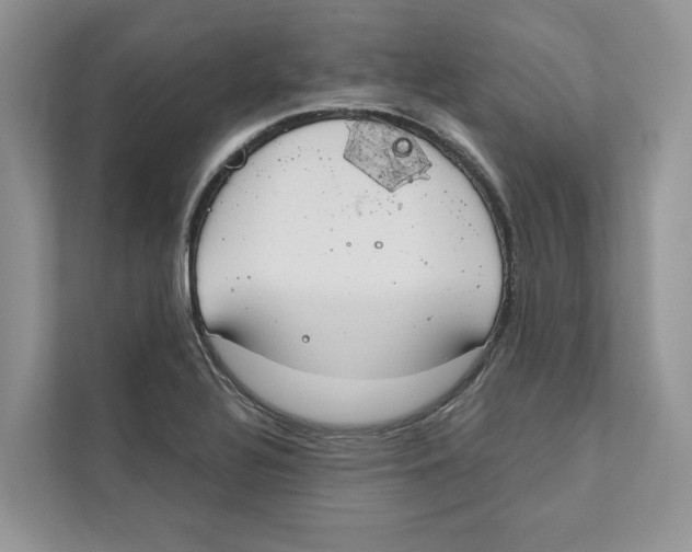 X0000110911320200907161451