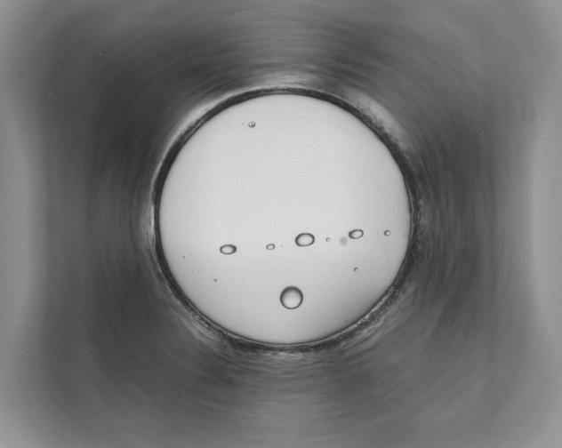 X0000110911324200907161451