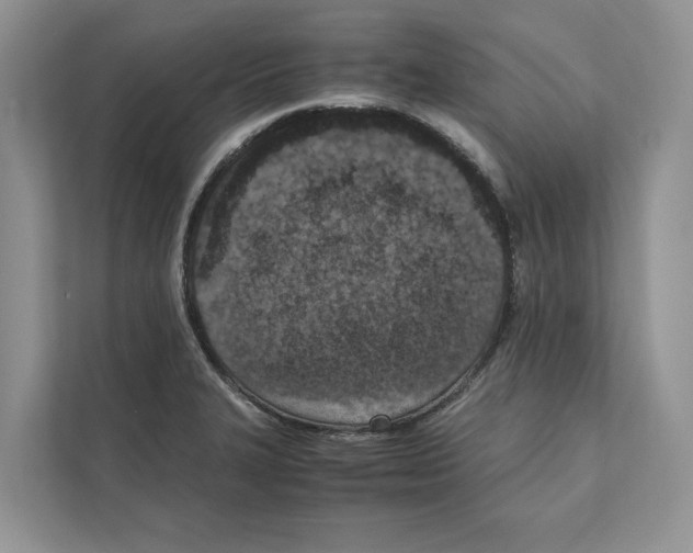 X0000110911327200907161451