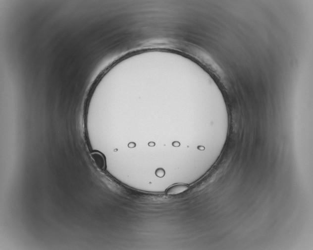 X0000110911328200907161451