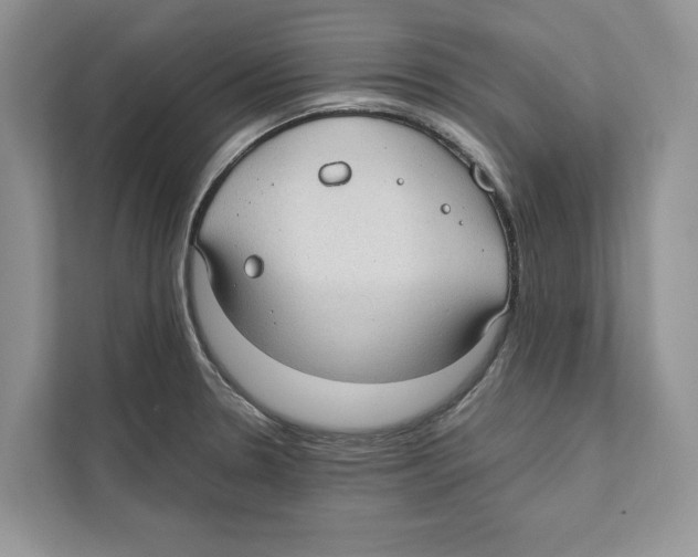 X0000110911330200907161451