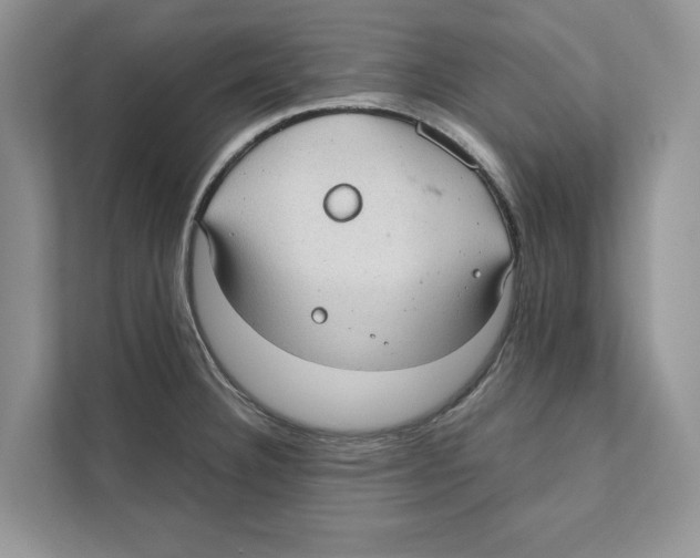 X0000110911332200907161451