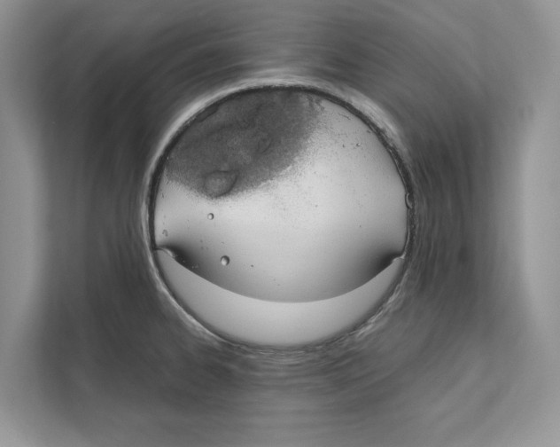 X0000110911334200907161451