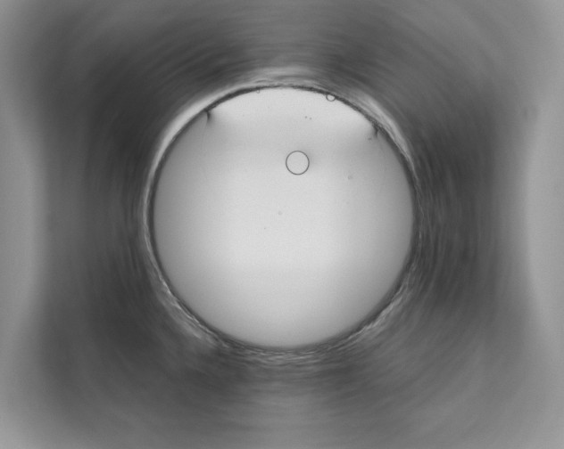 X0000110911336200907161451